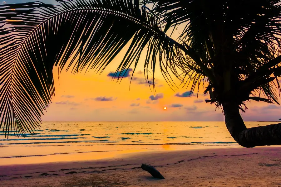 travel sea tropical island coconut